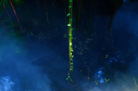 Ivy in blue haze 1