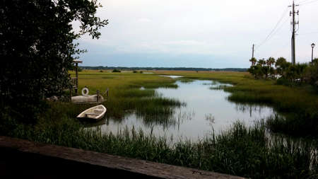A view of the swamp with trees, grasses, a boat in the water and a blue horizonの写真素材
