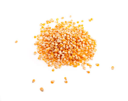 Pile of corn seeds on a white background