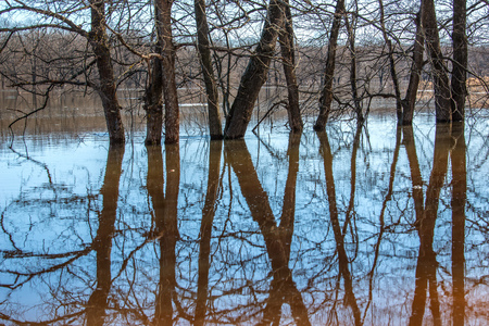 The large spill of the river, the water left the banks and filled a huge area. Meltwater comes from...