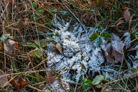 Ice patterns. Late autumn and the first frost on the soil.の写真素材