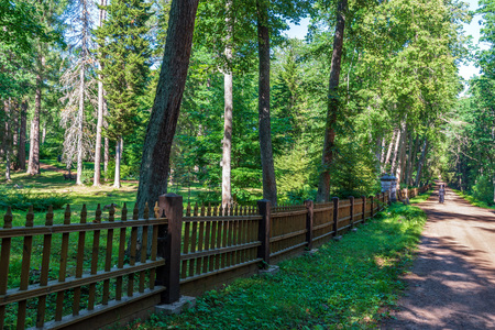 The fence hegumenskogo cemetery. The wonderful island Valaam is located on Lake Lodozhskoye, Karelia. Balaam - a step to heavenの写真素材