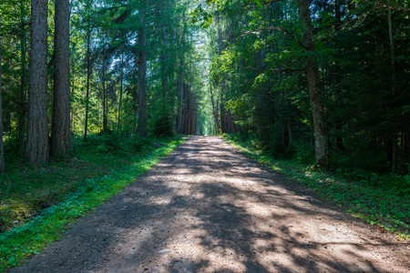 The road from one cattle to another, built by the hands of manakhov. The wonderful island Valaam is located on Lake Lodozhskoye, Karelia. Balaam - a step to heavenの写真素材