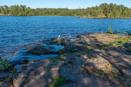 Rocky shores, flora and fauna of the island of Valaam. The wonderful island Valaam is located on Lake Lodozhskoye, Karelia. Balaam - a step to heavenの写真素材