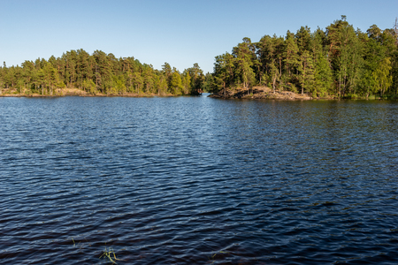 Mighty trees grow along the shores of Valaam Island. The wonderful island Valaam is located on Lake Lodozhskoye, Karelia. Balaam - a step to heavenの写真素材