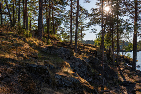 The morning sun awakens the nature of Valaam Island. The wonderful island Valaam is located on Lake Lodozhskoye, Karelia. Balaam - a step to heavenの写真素材