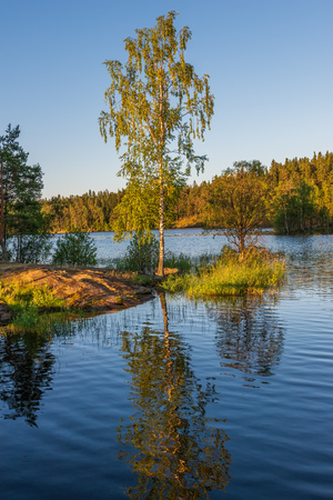 Birch in the sun is reflected in the lake. The wonderful island Valaam is located on Lake Lodozhskoye, Karelia. Balaam - a step to heavenの写真素材