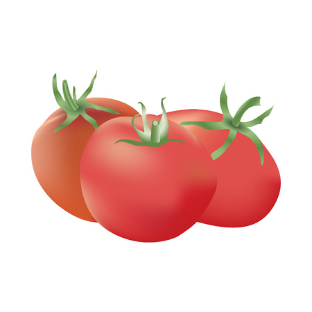Group of three realistic tomatoes isolated on a white background. Harvest festival card. Autumn gifts. Vector illustration.のイラスト素材