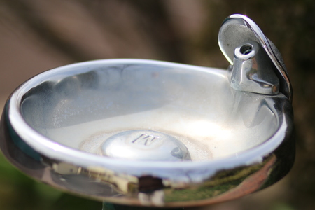 The water fountain for the thirsty people in the park.の写真素材