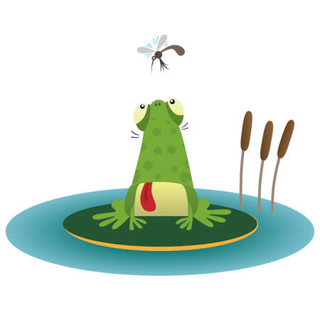 Frog and gnatのイラスト素材