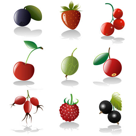 berries icon collectionのイラスト素材