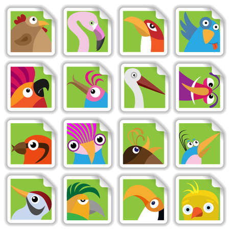 Funny birds set (Illustration for web design)のイラスト素材