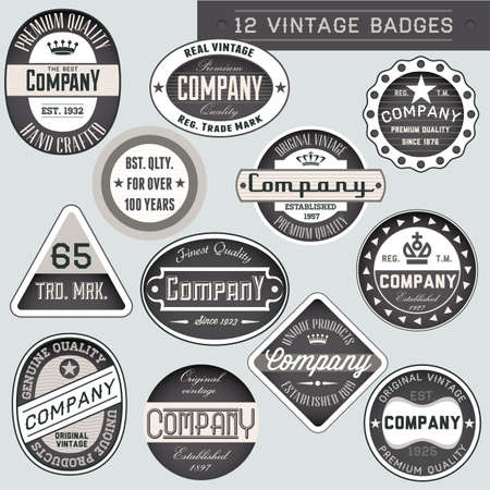 Vintage retro badges and labels setのイラスト素材