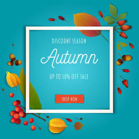 Autumn composition with autumn leaves on teal backgroundのイラスト素材