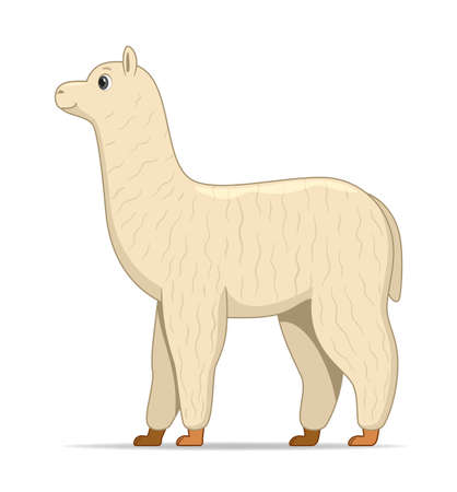Alpaca animal standing on a white background. Cartoon style vector illustrationのイラスト素材