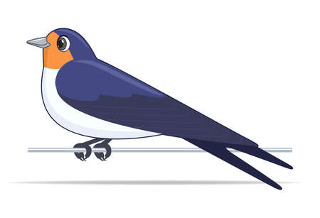 Swallow bird on a white background. Cartoon style vector illustrationのイラスト素材