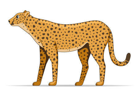 Cheetah animal standing on a white background. Cartoon style vector illustrationのイラスト素材