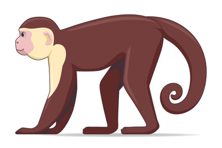 Capucin monkey animal standing on a white background. Cartoon style vector illustrationのイラスト素材