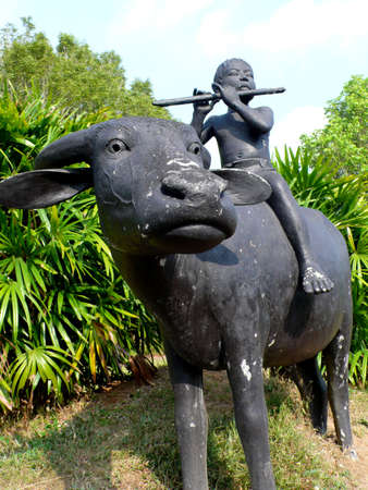 Boy (blowing a pipe) on Buffaloの写真素材