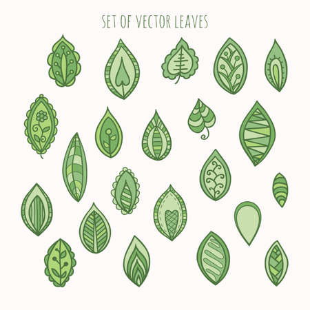Vector illustration leaf setのイラスト素材