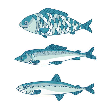 vector set of sea fish menu, fish, graphic line drawings, isolated objectのイラスト素材
