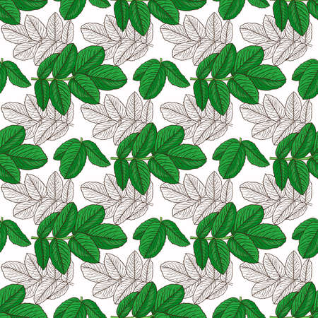 A Vector seamless pattern branch of dog rose hips on white background.のイラスト素材