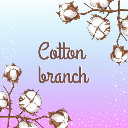 Branch of a cottonのイラスト素材