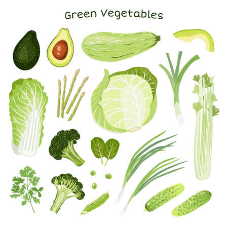 Set of vegetables. Chinese-cabbage, White-cabbage, Squash, green Leek, Green onion, Tats, Asparagus, Broccoli, Avocado, Peas, cucumbers, Parsley, Celery. Healthy nutrition. Vegan. Vector illustration.のイラスト素材
