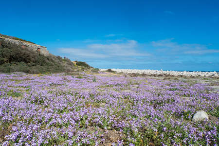 Cava di Usai, Villasimius, Cagliari, Sardinia, Italyの写真素材