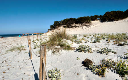 Le Dune beach near Capo Comino, Siniscola, Nuoroの写真素材