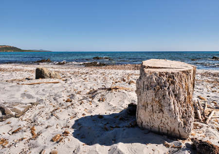 Le Dune beach near Capo Comino, Siniscola, Nuoroの写真素材