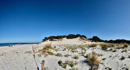 Le Dune beach near Capo Comino, Siniscola, Nuoroの写真素材
