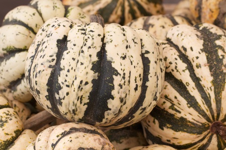 Abundance of colorful squash and gourds having bold patterns and a variety of shapes are displayed at an outdoor farmers market  Horizontal composition    の写真素材