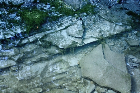 Underwater textures of moss and algae on flat cracked limestone rocks of tiered creek bed  Viewed...
