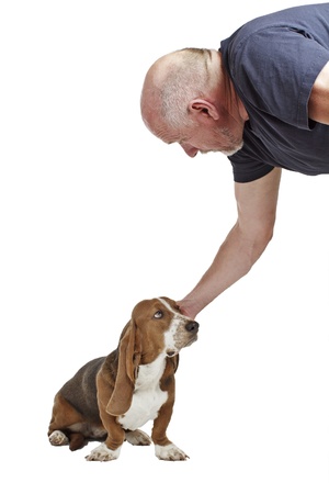 Blue basset hound puppy sits and looks up at man, who reaches down to pat its head  Isolated on white background, vertical with copy space の写真素材