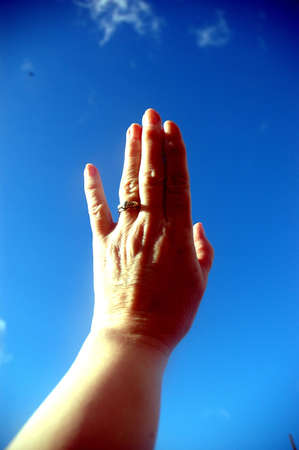 Handsの写真素材