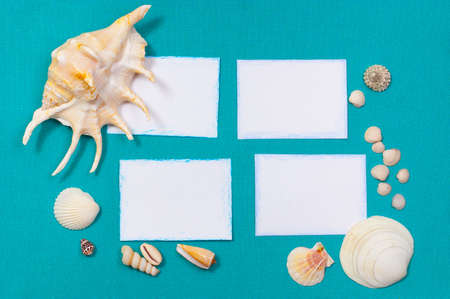 White card on a blue background with shellsの写真素材