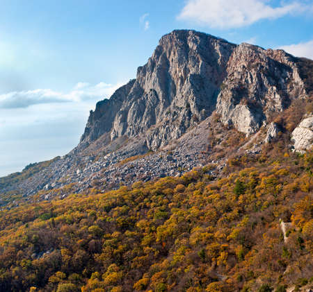 top of the mountain above the autumn forestの写真素材