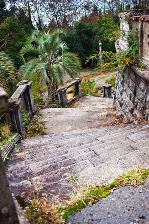 Old staircase in green foliageの写真素材