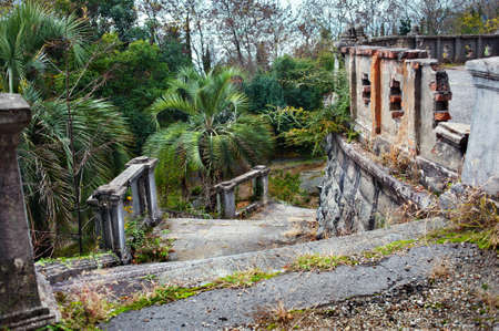Old staircase in green foliageの写真素材