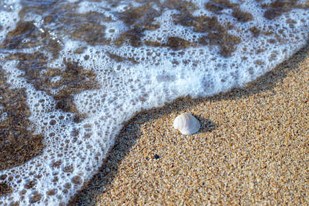 a wave of the sea on the sandの写真素材