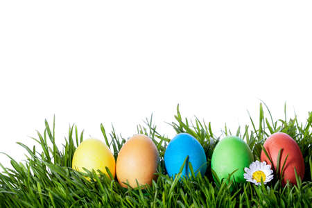 Easter eggs hiding in the grass 