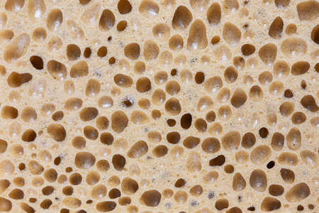 Texture of foam rubber macro spongesの写真素材