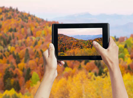 photo shooting on tablet pc, autumnの写真素材