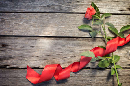 red rose on wooden boardの写真素材