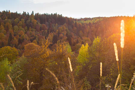 Autumn landscape in the mountains of Lago-Naki,  North Caucasus, Russiaの写真素材