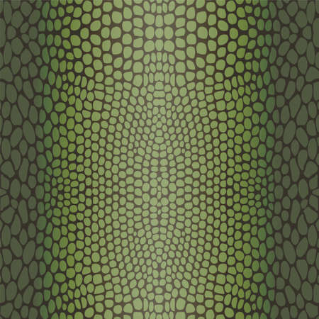 Snake skin, reptile seamless patternのイラスト素材