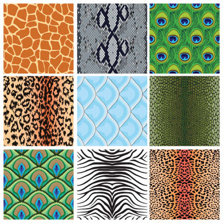 set of seamless textures of animal skins, vector illustrationのイラスト素材