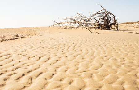 waves on the sand, desertの写真素材