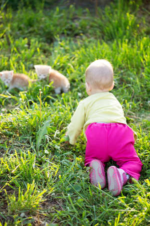 Baby eleven months months sitting in the grassの写真素材
